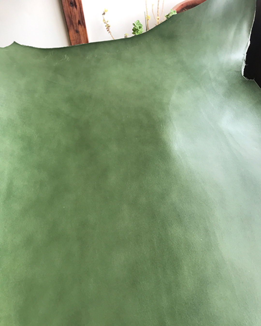 革の色見本：グリーン（サドルレザー）の革の写真